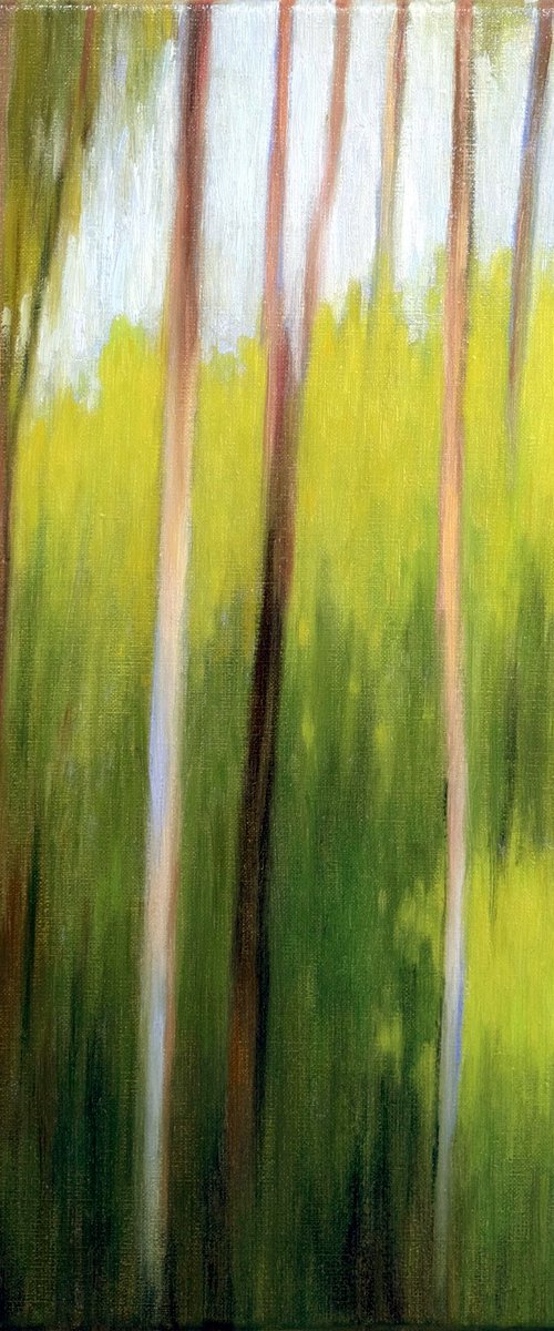 Forest in the morning by Richard Mierniczak