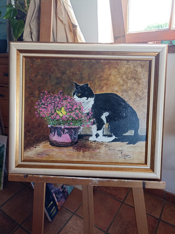 cat, flowers and butterfly
