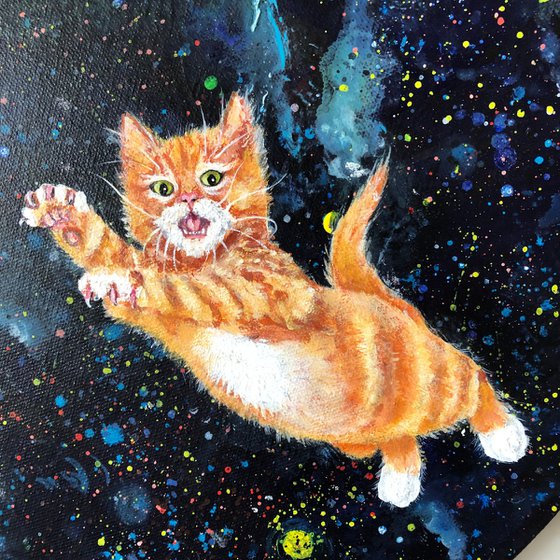 Ginger kittens in space