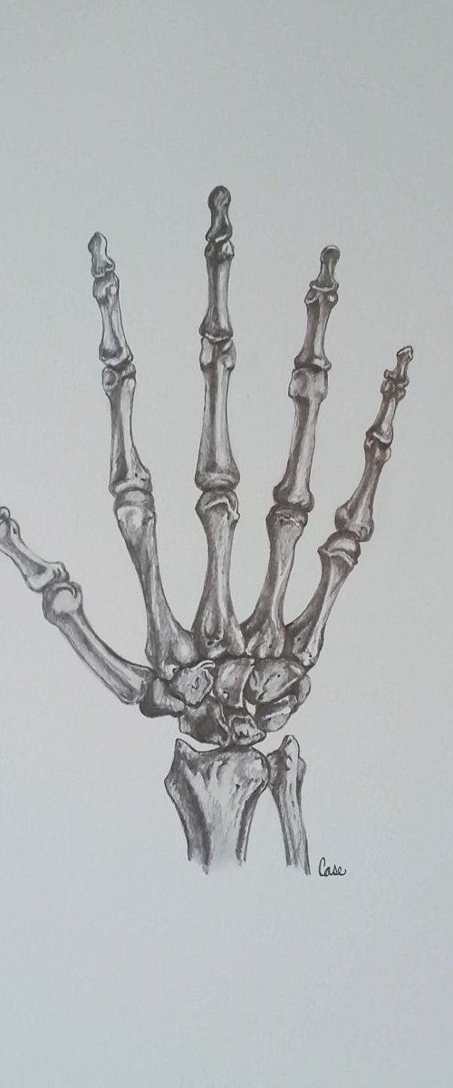 Framework by Katrina Case