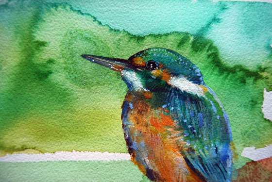 The little kingfisher