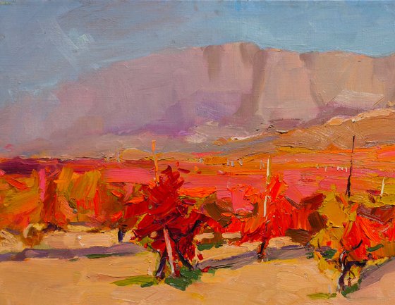 Crimean Vineyards