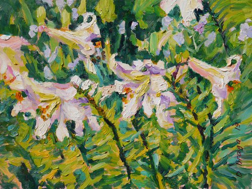 White lilies (etude) original painting by Dima Braga