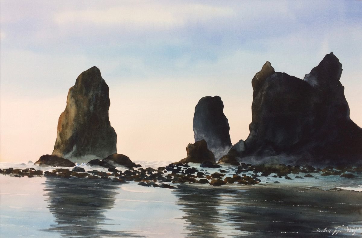 Oregon coast by Silvie Wright