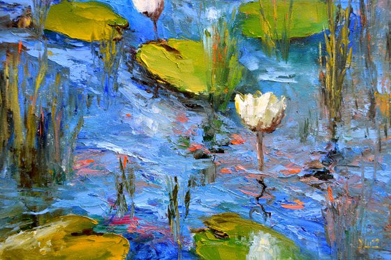 White Lily Pond