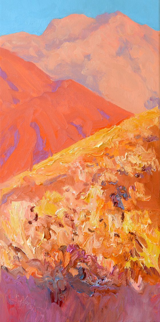 Golden Hour of the Desert