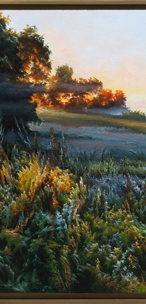 MORNING 29 by Oleksii Vylusk