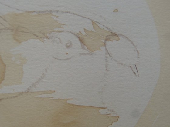 Little birds