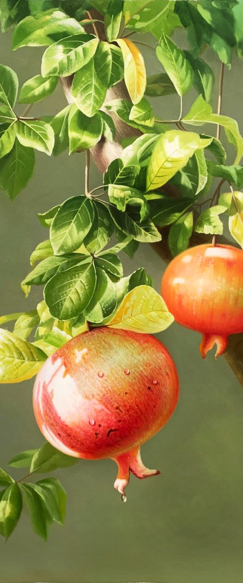 Still life:Pomegranates on the trees t170 by Kunlong Wang