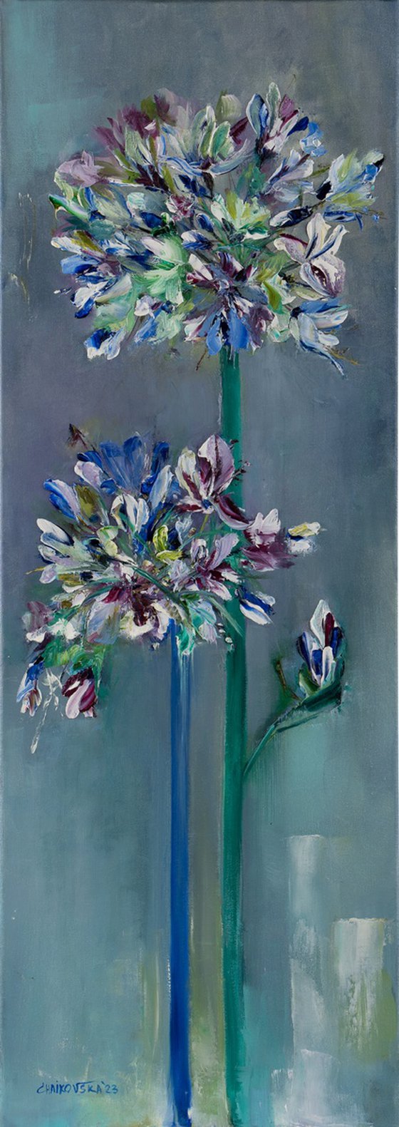 AGAPANTHUS, Oil on canvas panel