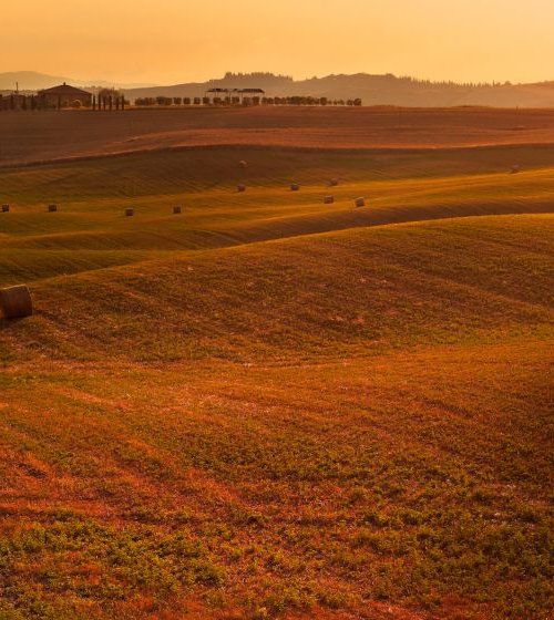 Rolling, Tuscany by Francesco Carucci