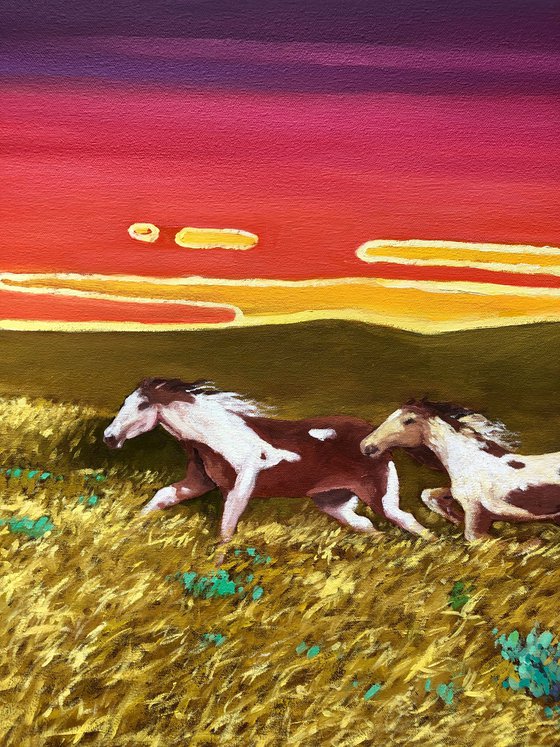 Horses. Sunset