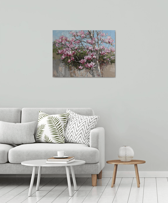 Magnolia in Bloom