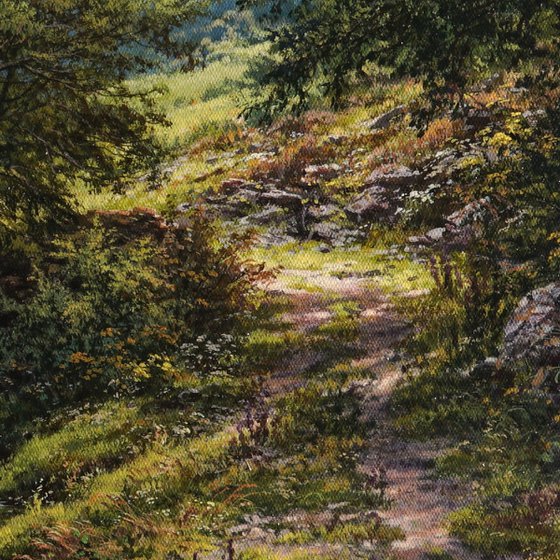 The path by the blooming river