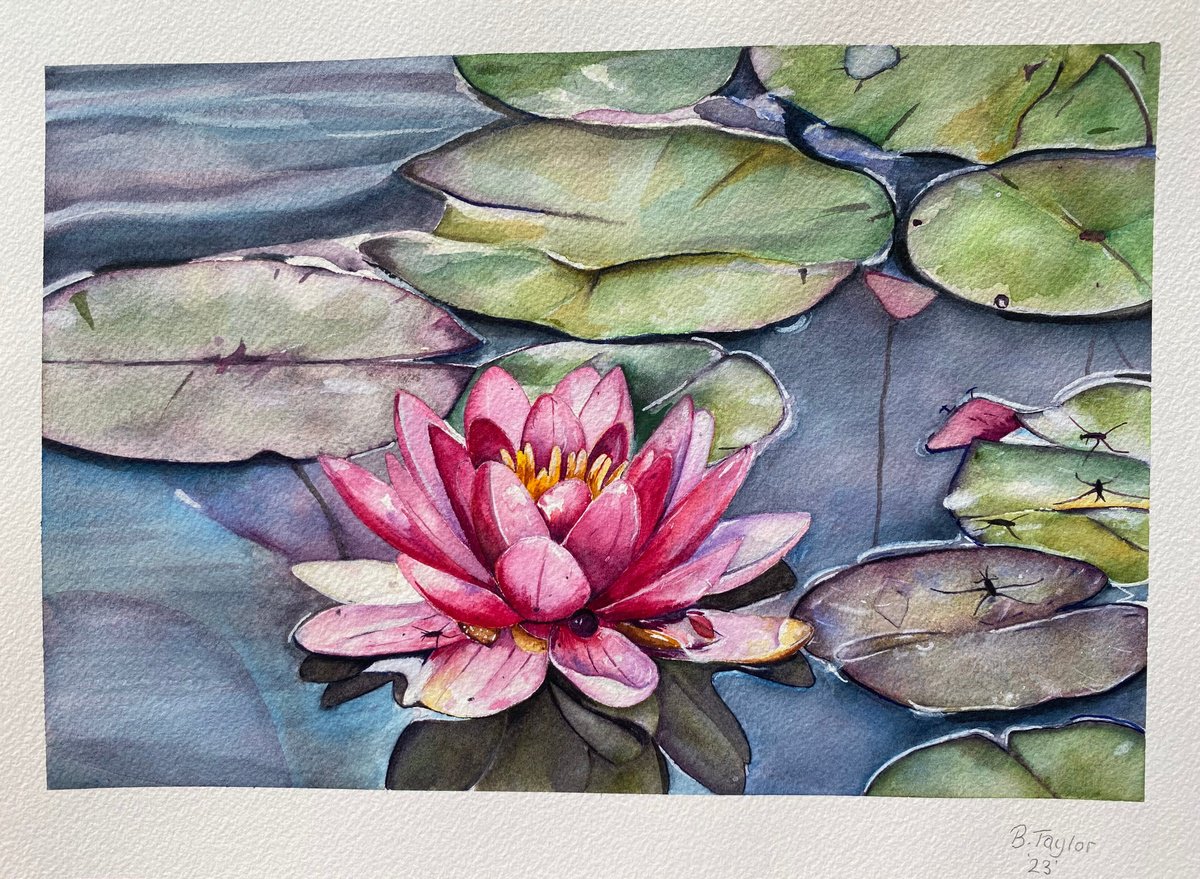 "Peace" lily pads watercolour painting by Bethany Taylor