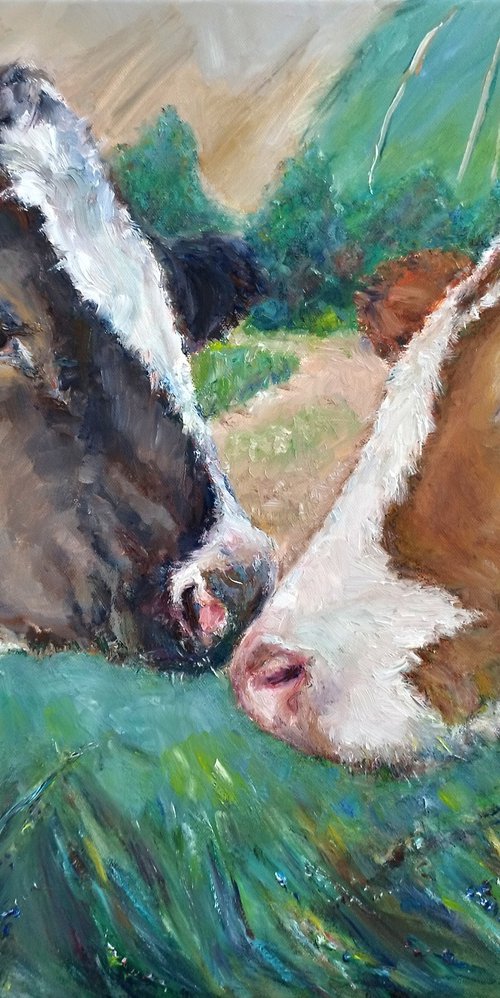Two Cows by Jura Kuba Art