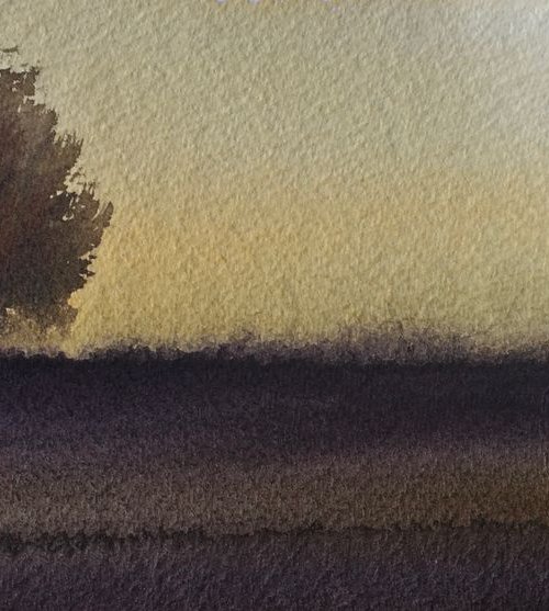 A walk at dusk by Samantha Adams