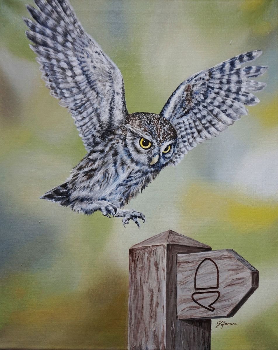 Cleveland Owl by Jayne Farrer