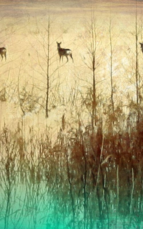 Grazing Deer by Nadia Attura