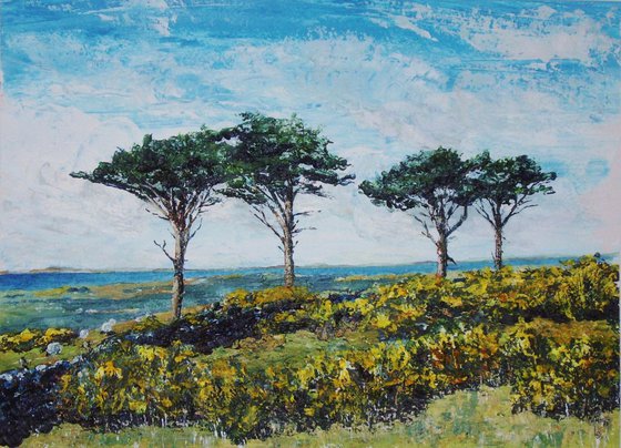 Pines, Sheep and Gorse, Sky Hill - Isle of Man