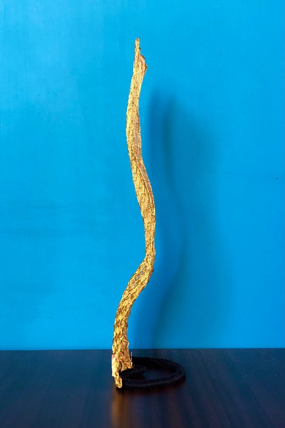 Gold Curve I