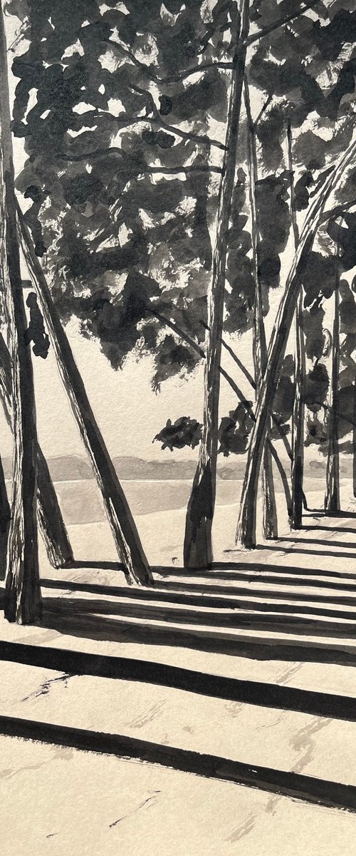 Cap Coz avenue by Cadiou Frederic