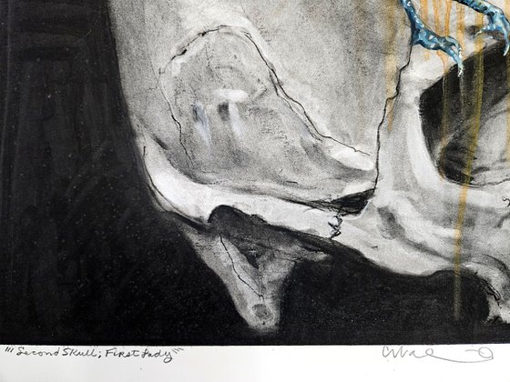 Second Skull First Lady