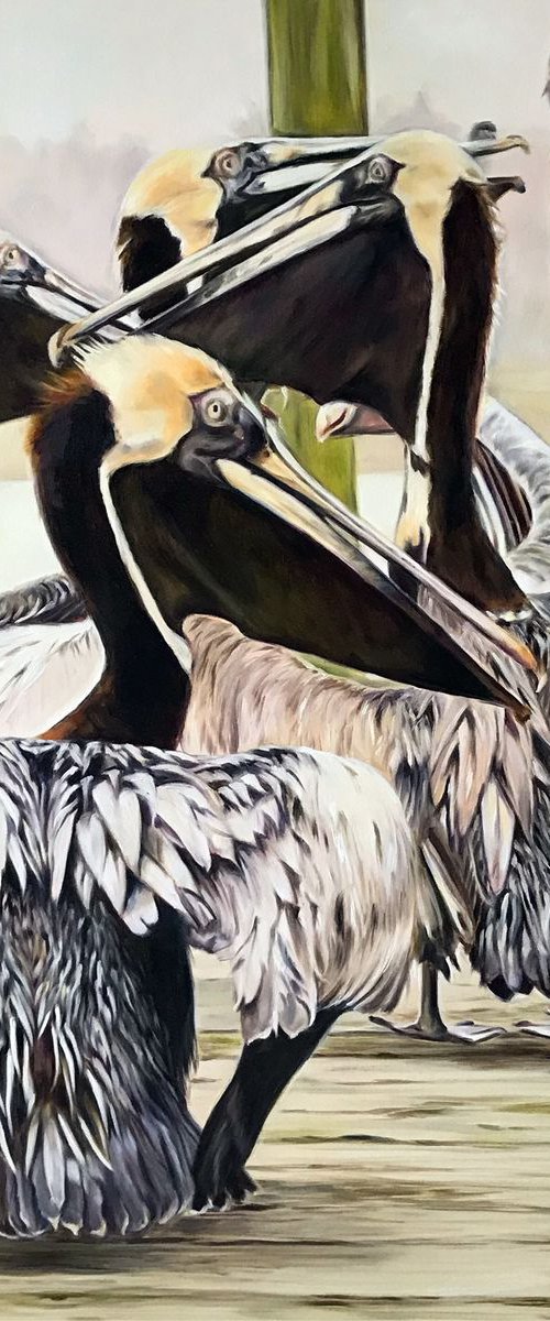 Brown pelican by Irina Ivlieva