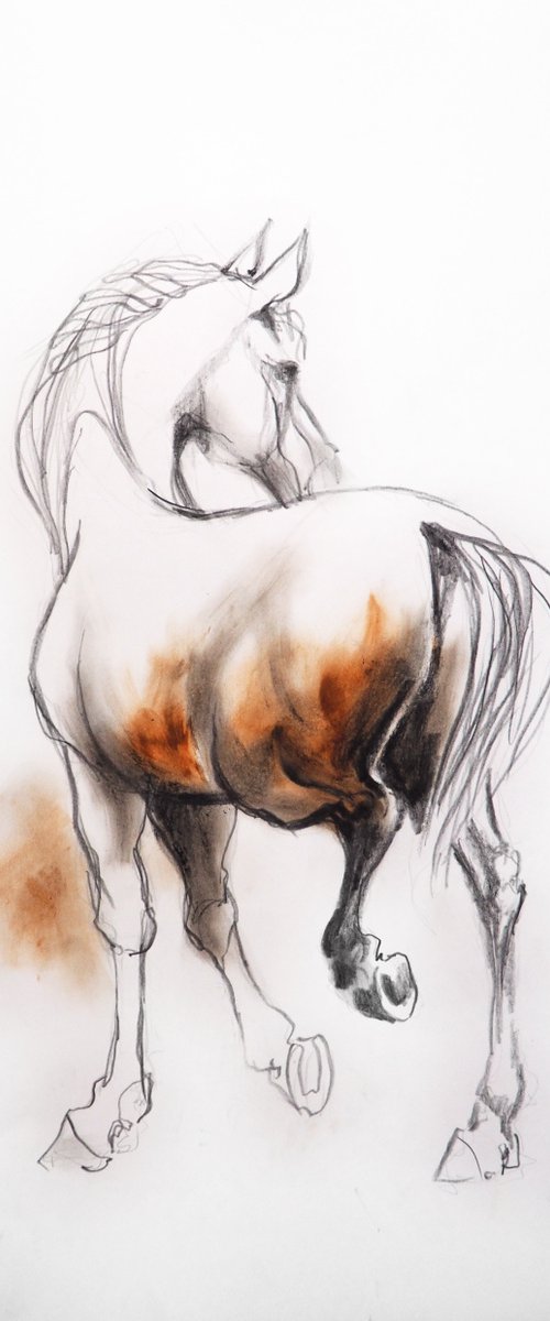 HORSE by Nicolas GOIA