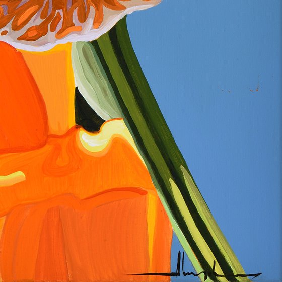 Californian Poppy and Wind #7