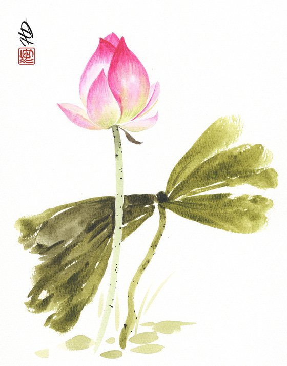 Lotus in Quiet Reflection