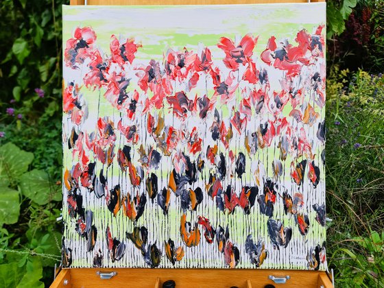 Poppy Flowers 2