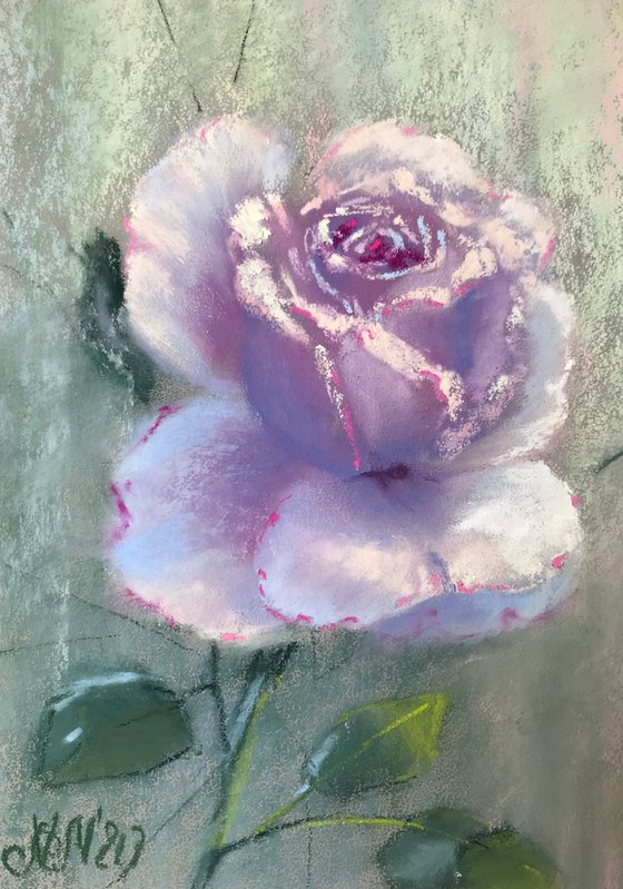 Portrait of a Rose, set of 3
