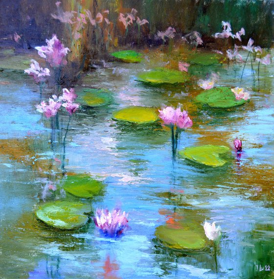 Pond with pink lilies