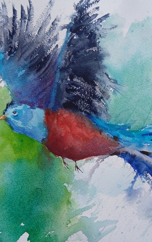 Resplendent Quetzal 2 by Giorgio Gosti