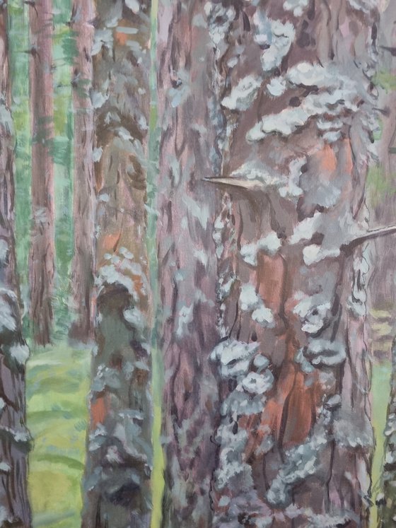 Mossy forest