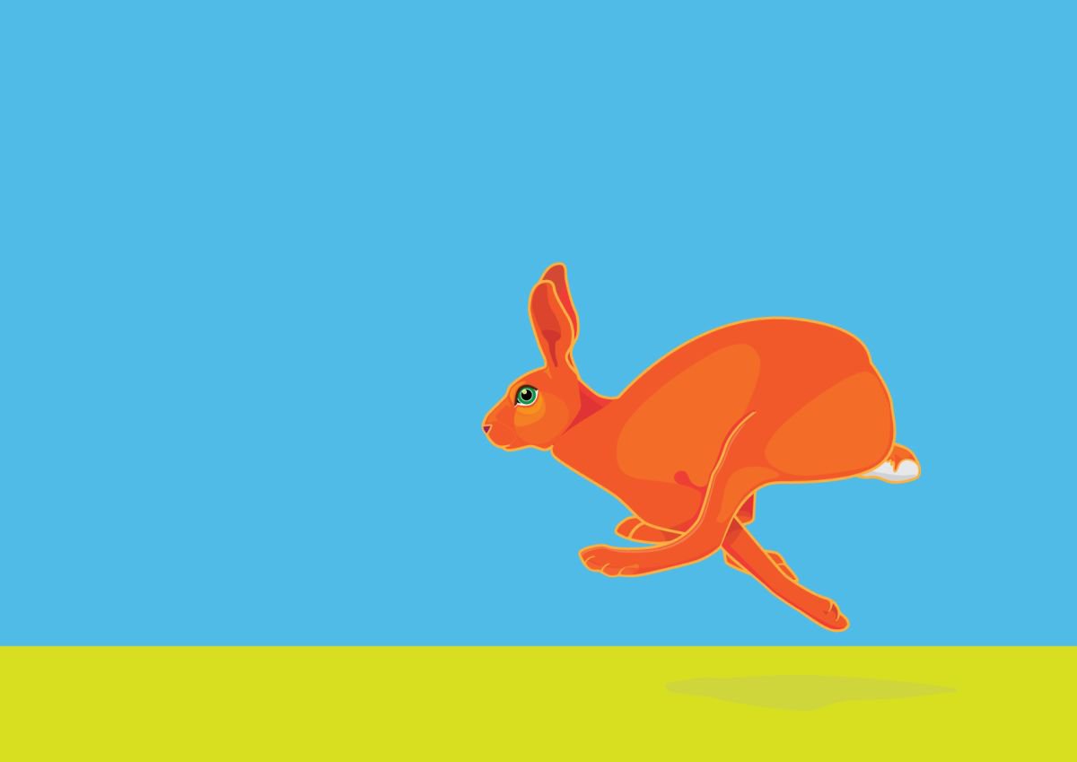 Hare on the Run by David Gill