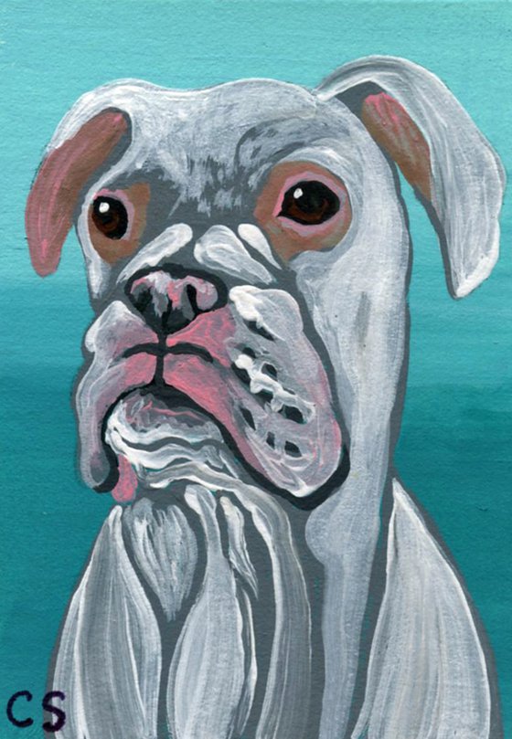 ACEO ATC Original Miniature Painting White Boxer Pet Dog Art-Carla Smale