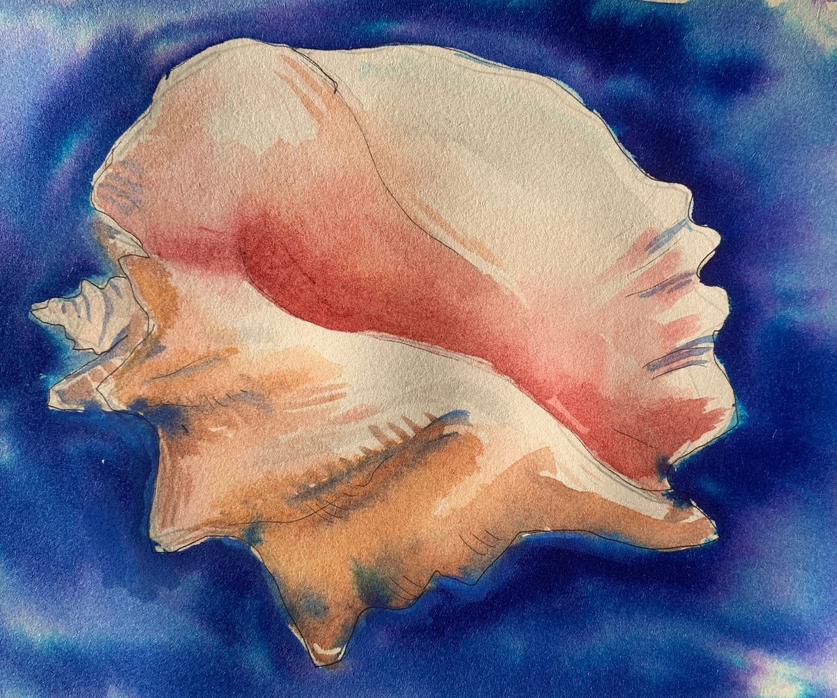 Impressionistic Watercolour , Sea Shells By Olga Pascari, 11 X 8, Artwork For Sale On Artfinder