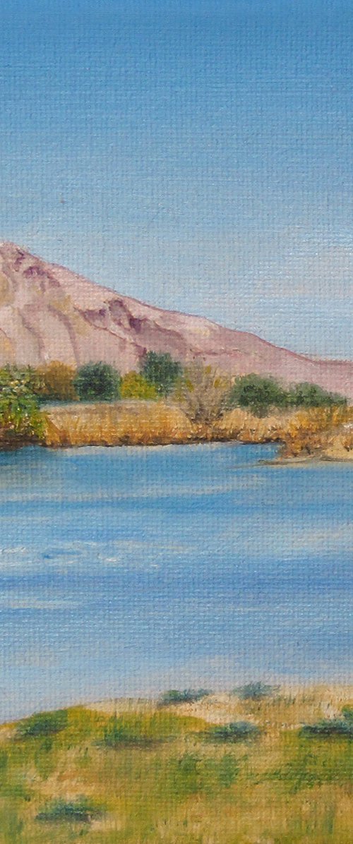 Pichacho Peak & Rio Grande, NM by Carmen Badeau