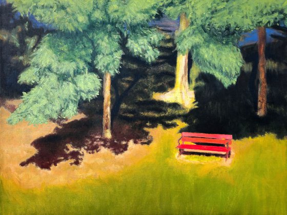 Wooden Bench in the Summer