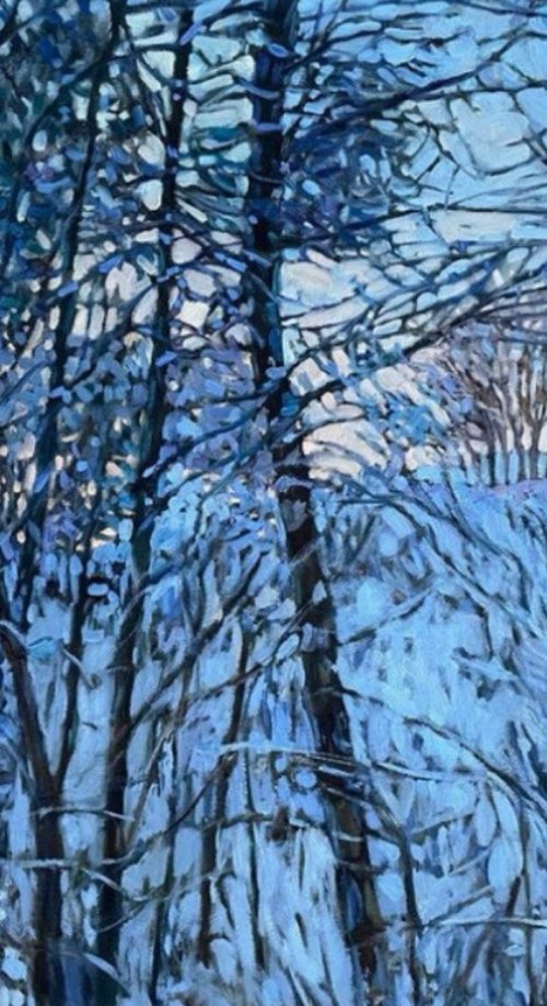 Winter lace 2 by Nadezda Stupina