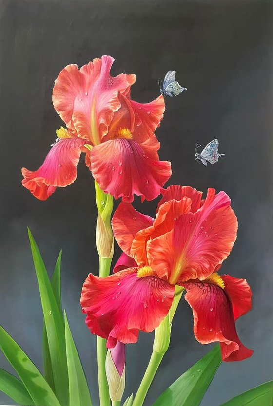 Beautiful flowers t267