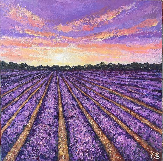 Lavender Sunrise