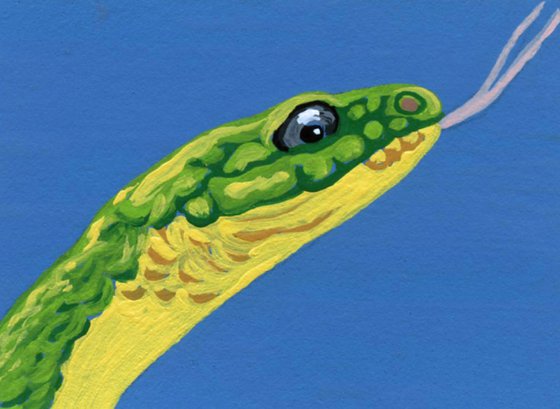 ACEO ATC Original Miniature Painting Green Mamba Snake Wildlife Art-Carla Smale