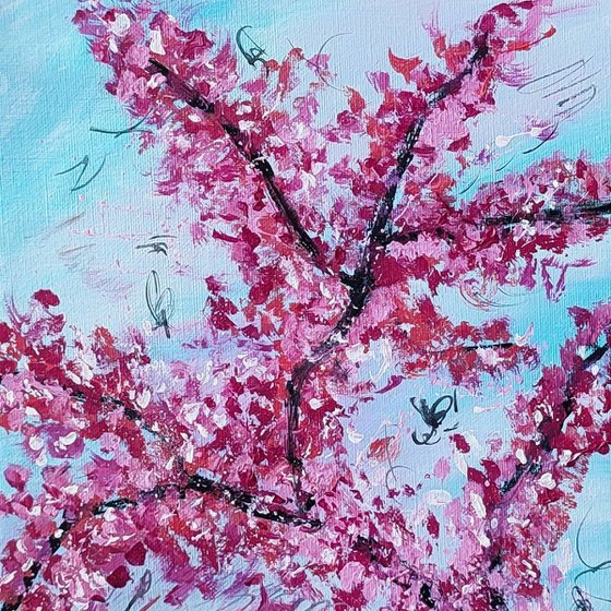 Les fleurs du cerisier