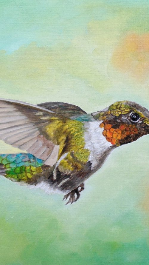 Motley Flying Hummer by Angeles M. Pomata
