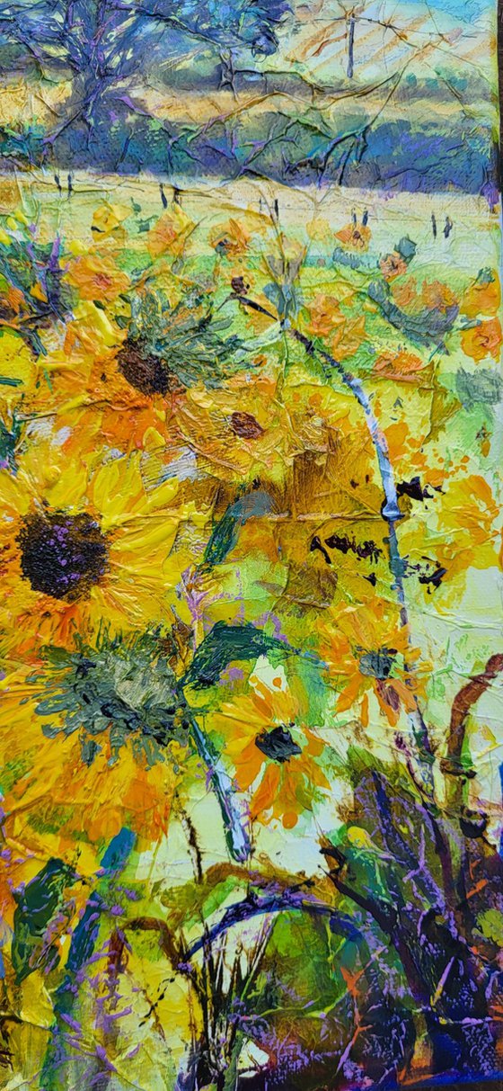 Sunflower Field
