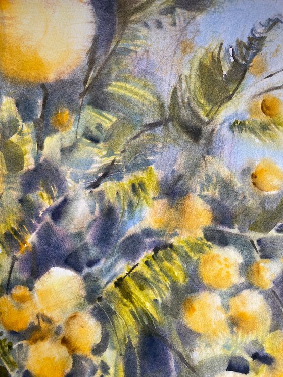 mimosa 3 - original watercolor