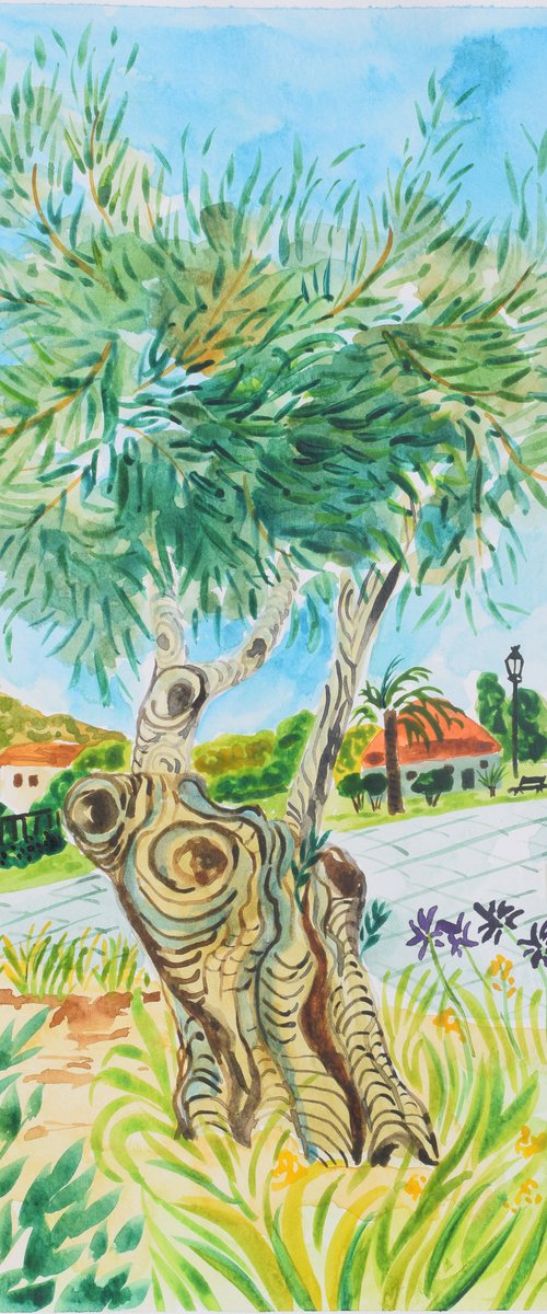 Olive tree in Parc el duque II by Kirsty Wain
